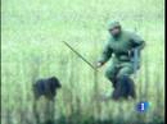  - Isabel II pide respeto a los medios