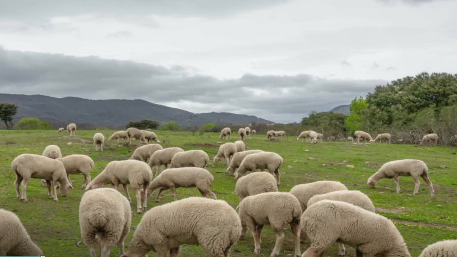 Intervalos de viento fuerte en el litoral gallego y zonas de la Comunidad Valenciana y Baleares - ver ahora