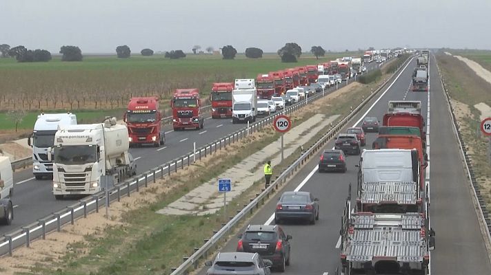 Agrosfera - Agrosfera - 19/03/22