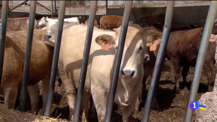 Telecanarias - Telecanarias - 20/03/2022