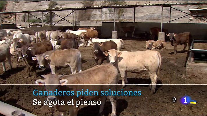 Telecanarias - Canarias en 2' - 20/03/2022