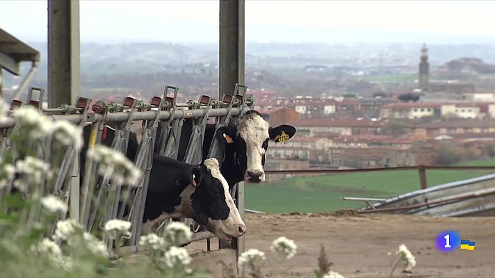 L'Informatiu - L'Informatiu - 20/03/2022