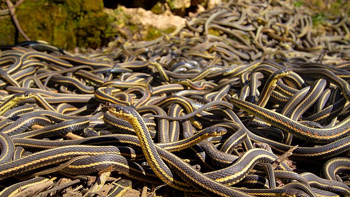 Un planeta perfecto - El Sol