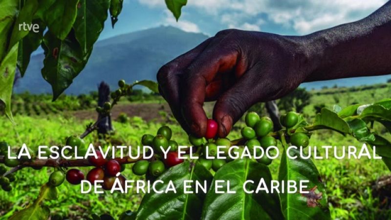 La aventura del saber - La esclavitud y el legado cultural de África en el Caribe - ver ahora