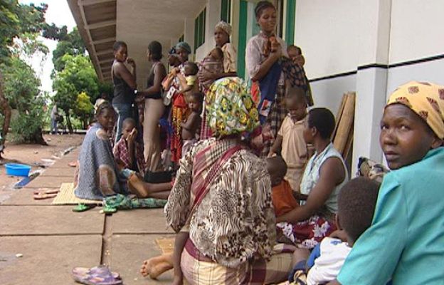 Ciencia y tecnología en Rtve.es - Salud y  cambio climático