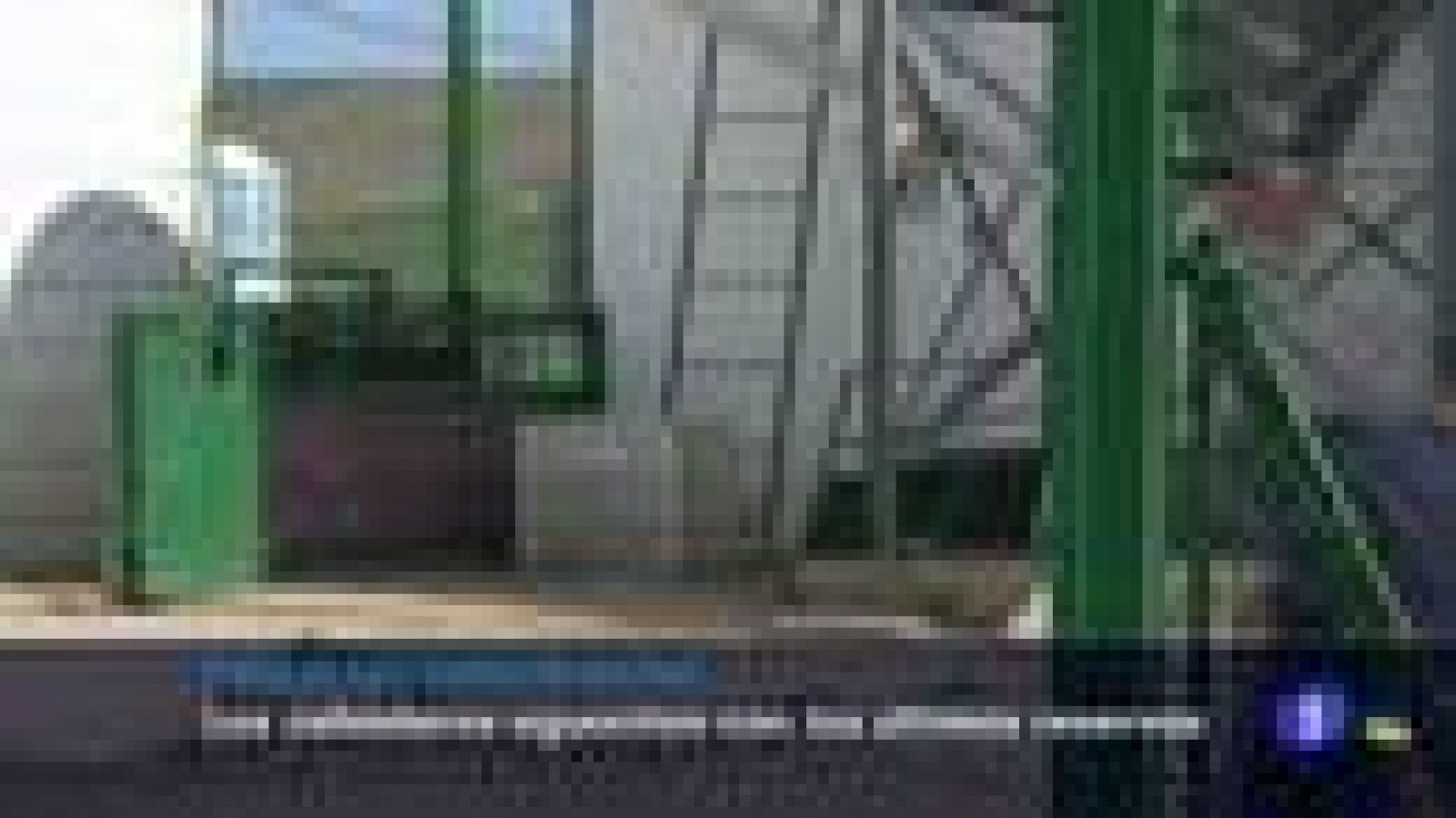 Falta de suministro de pienso - 21-03-2022 - Ver ahora