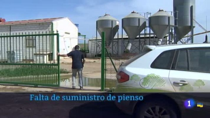 Noticias de Extremadura - Falta de suministro de pienso
