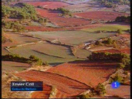 L'Informatiu - El temps migdia - 09/12/09