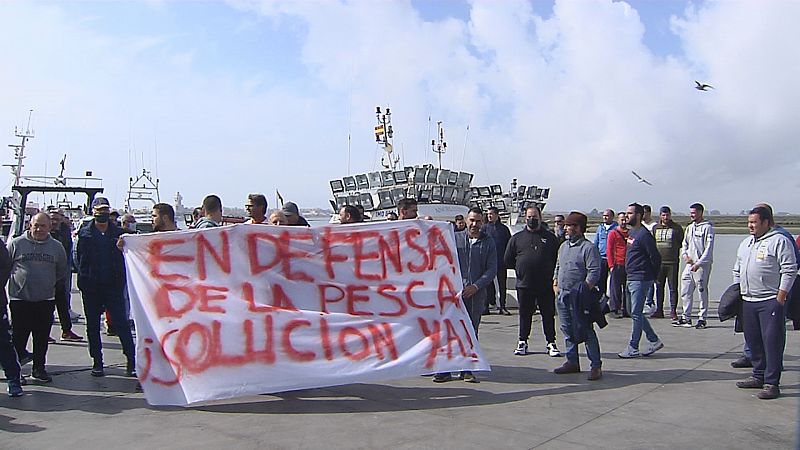 Paro en el sector pesquero - Ver ahora