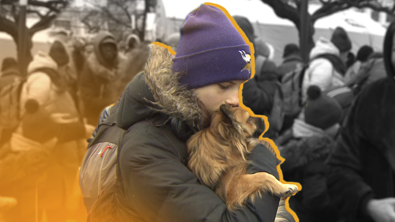 Llegada de mascotas de Ucrania - Ver ahora