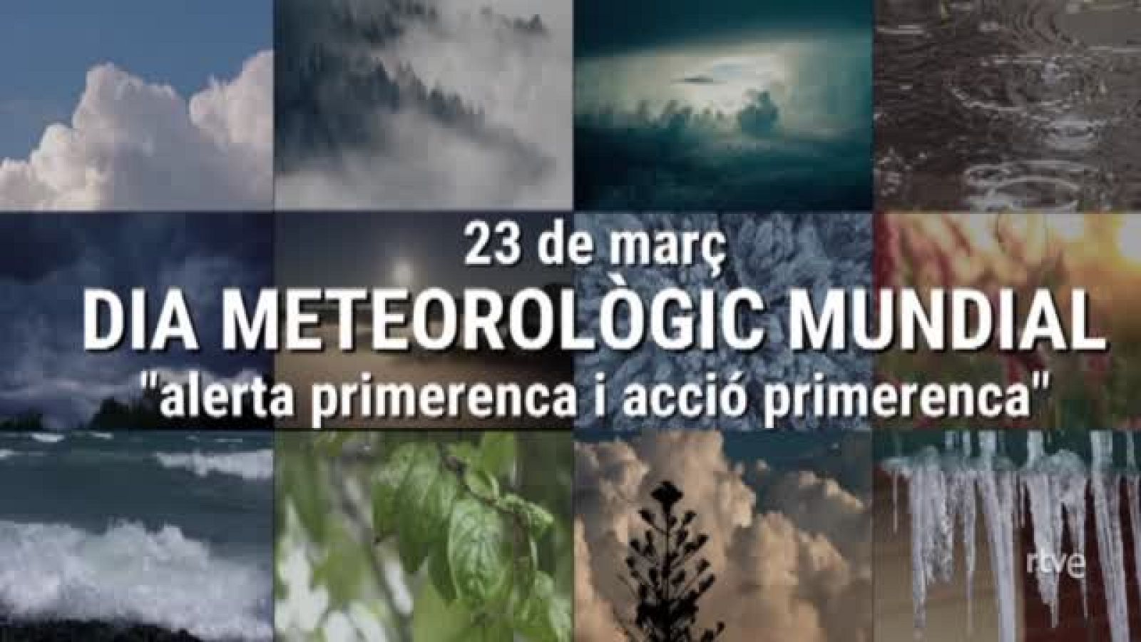 Dia Meteorològic Mundial 2022: 'Alerta primerenca i acció primerenca' | Ver