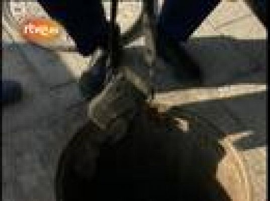 Fue noticia en el Archivo de RTVE - Presidencia española de la UE, 2002