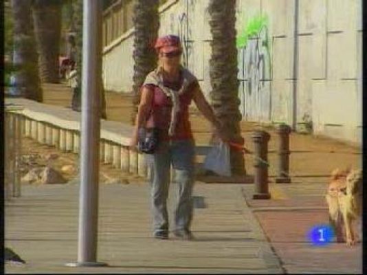 L'Informatiu - El temps migdia - 10/12/09