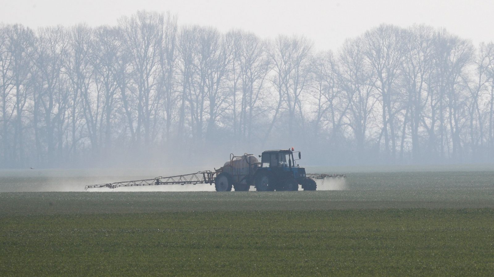 La guerra en Ucrania levanta alerta por la escasez de cereal en terceros países