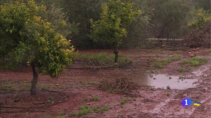 Noticias de Extremadura - Los efectos de la lluvia en el campo extremeño