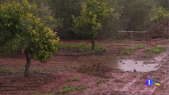 Los efectos de la lluvia en el campo extremeño