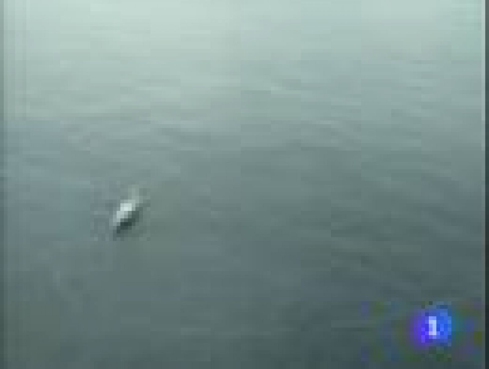 Telenorte Informativo País Vasco (10/12/09)