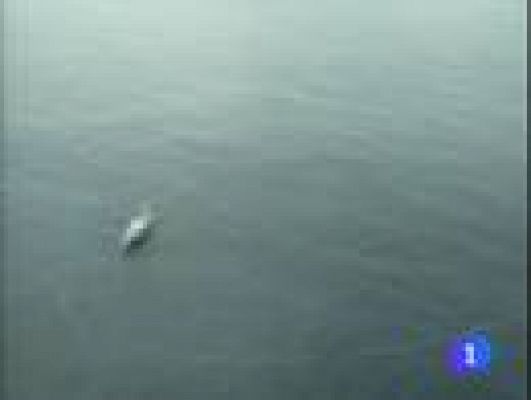 Telenorte - País Vasco - Telenorte-País Vasco - 10/12/09