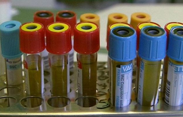  - Demandas prueba paternidad