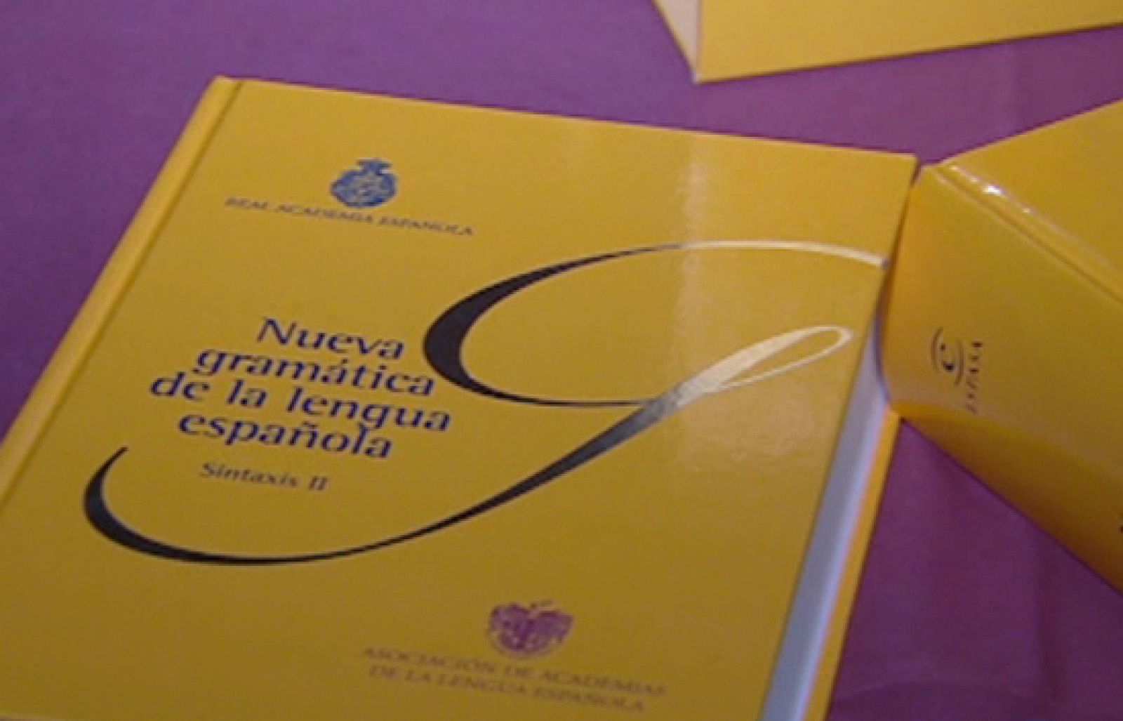Hoy han presentado la "Nueva Gramática" en la Real Academia de la Lengua | Ver
