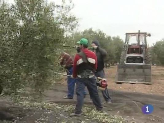 Noticias de Castilla-La Mancha - Noticias de Castilla-La Mancha - 10/12/09