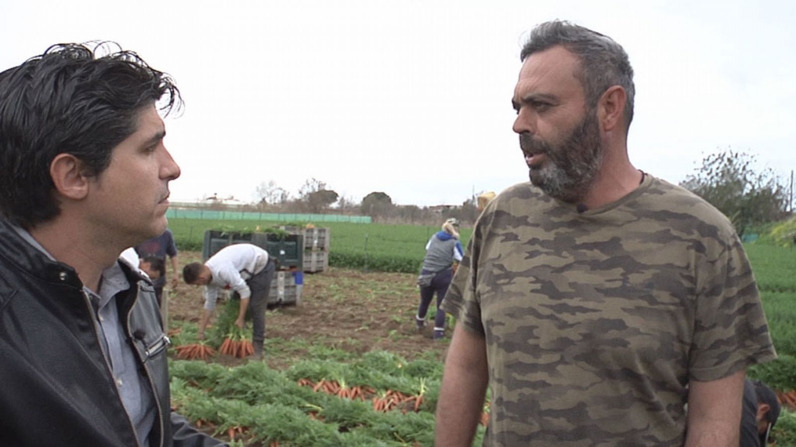 Comando Actualidad - La patata caliente - ver ahora