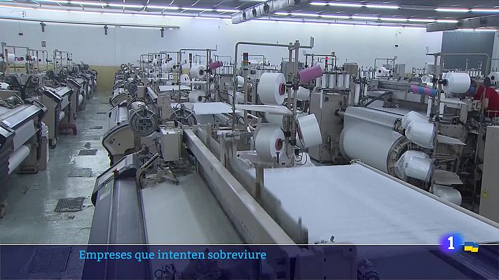 L'Informatiu - Empreses que intenten sobreviure