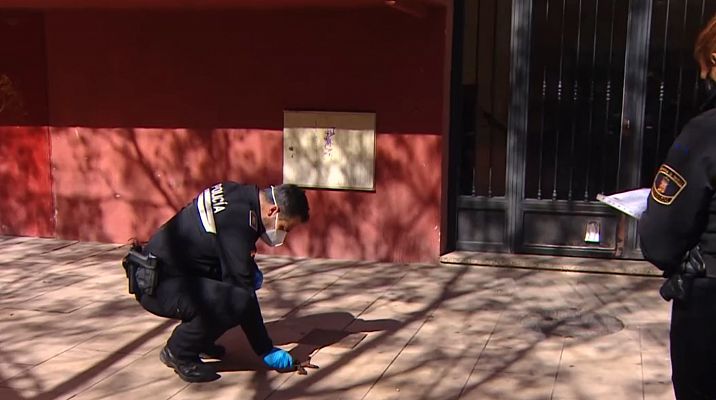 Telediario 1 - Pruebas de ADN para multar a los dueños de los perros que no recojan los excrementos