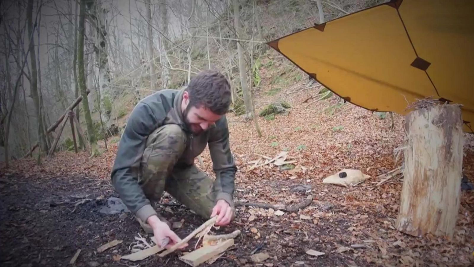 Repor - Preparacionistas - ver ahora