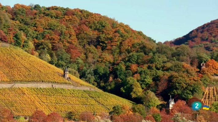 Som Documentals - Tardor, un món de colors
