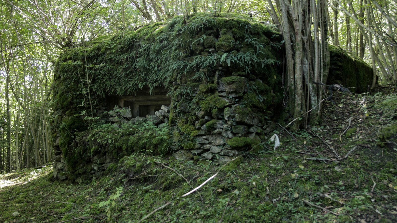 Somos documentales - Línea P, la fortaleza invisible - Ver ahora