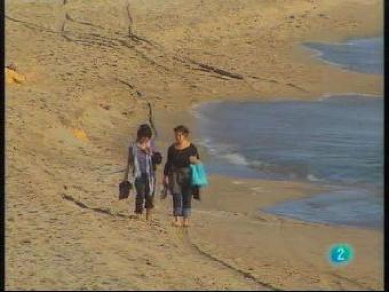 El Temps vespre (10/12/09)