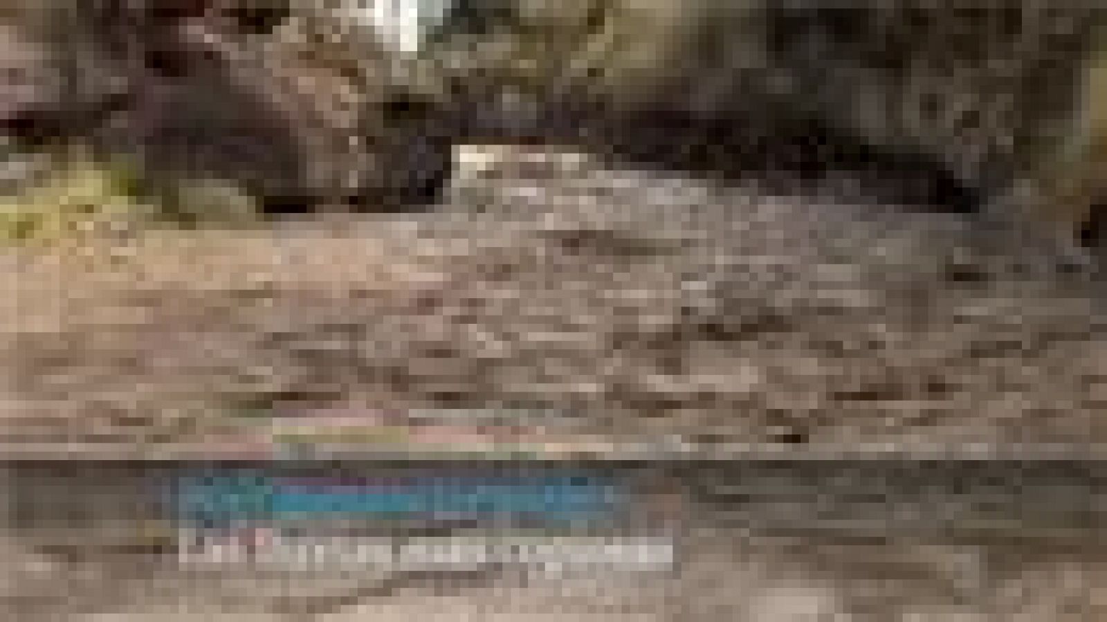 Telecanarias - 29/03/2022