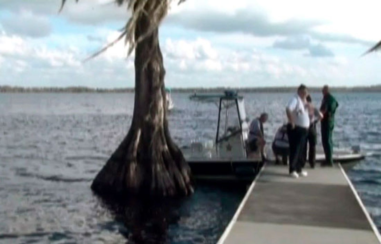 Las operaciones de rescate de la familia muerta en un accidente en Florida concluyen sin avances | Ver