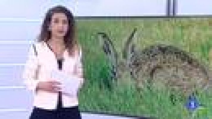 Informativo Telerioja - Informativo Telerioja 2 - 30/03/22