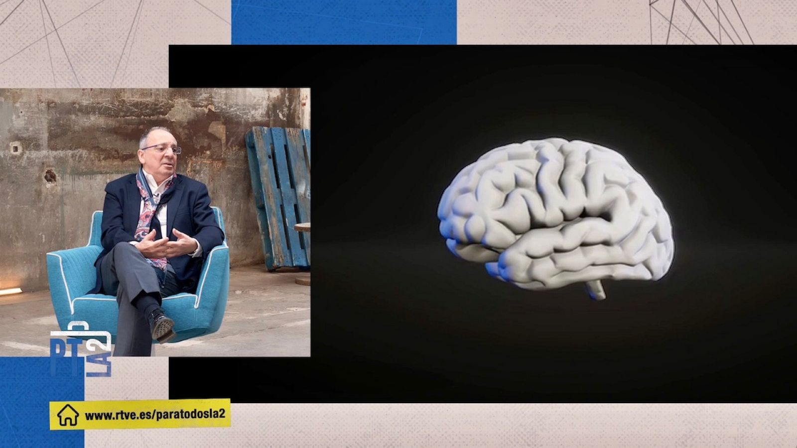 El cerebro, ese gran desconocido. Entrevista al neurocientífico Juan Lerma