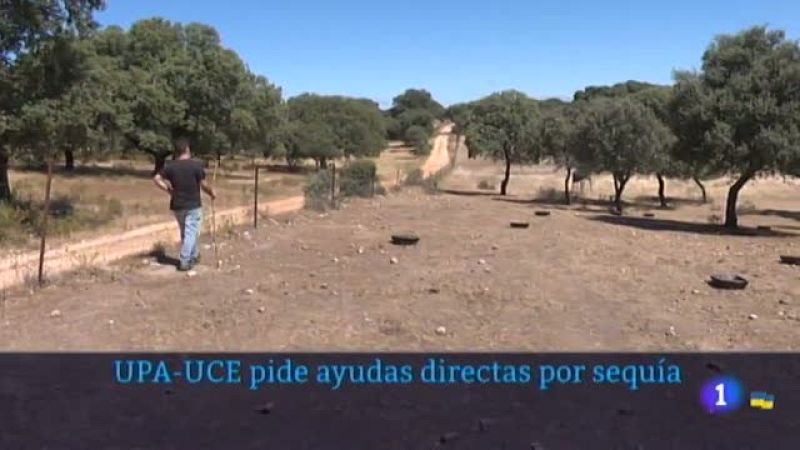  UPA-UCE valora como insuficiente el decreto de sequía del Estado - Ver ahora