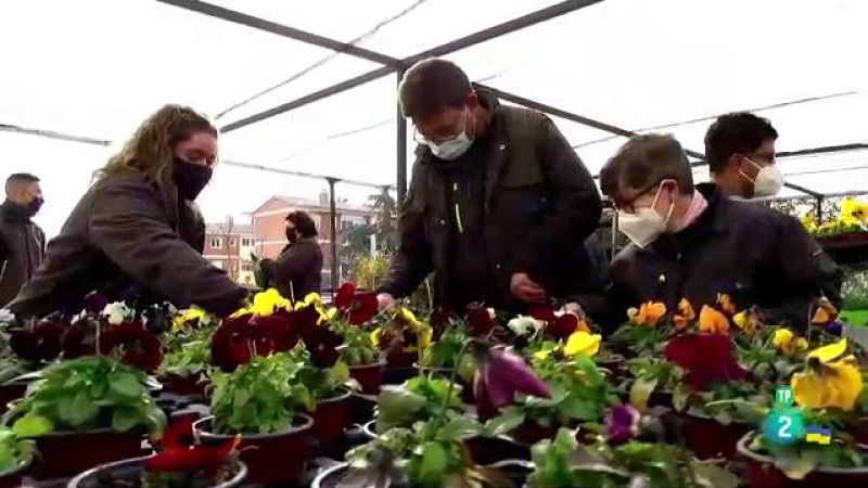 La aventura del saber - Asociación Talismán. Apoyando la discapacidad intelectual