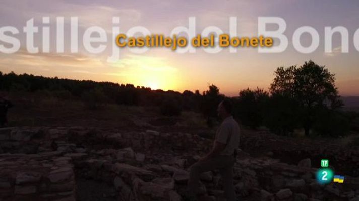 Castillejo del Bonete 7. Conclusiones