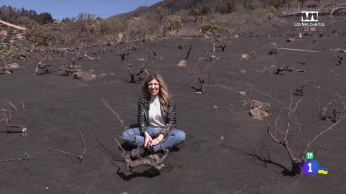 Aquí la Tierra - Bodegas y viñas: la producción tras el volcán