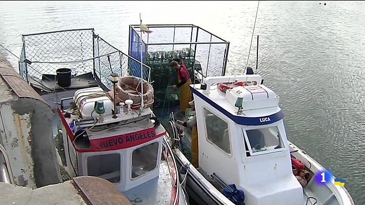 Noticias Andalucía - Ayamonte vuelve a faenar