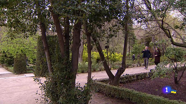 Telediario 1 - El Botánico expone copias de códices de plantas curativas de los siglos X-XVI