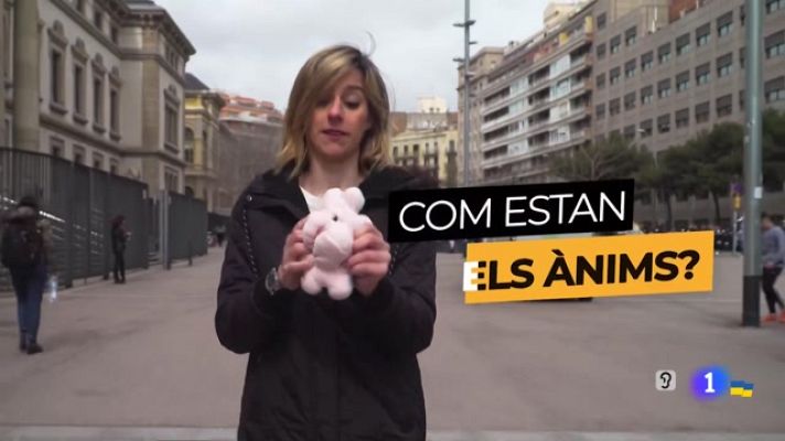 Obrim fil - Enquesta sobre els temps difícils