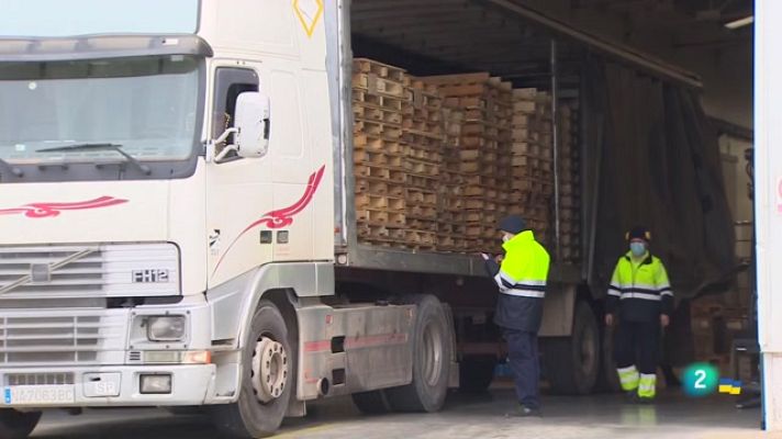 Telecanarias - Telecanarias 2 - 31/03/2022