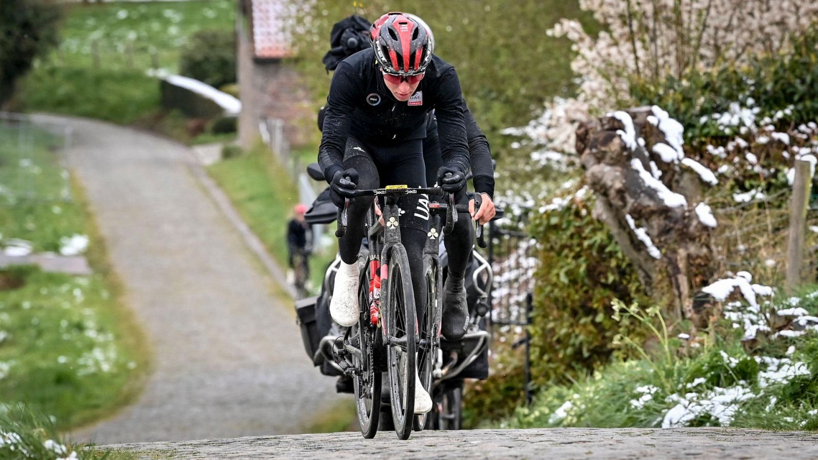 Van der Poel y Pogacar encabezan el cartel del Tour de Flandes 2022 -- Ver ahora