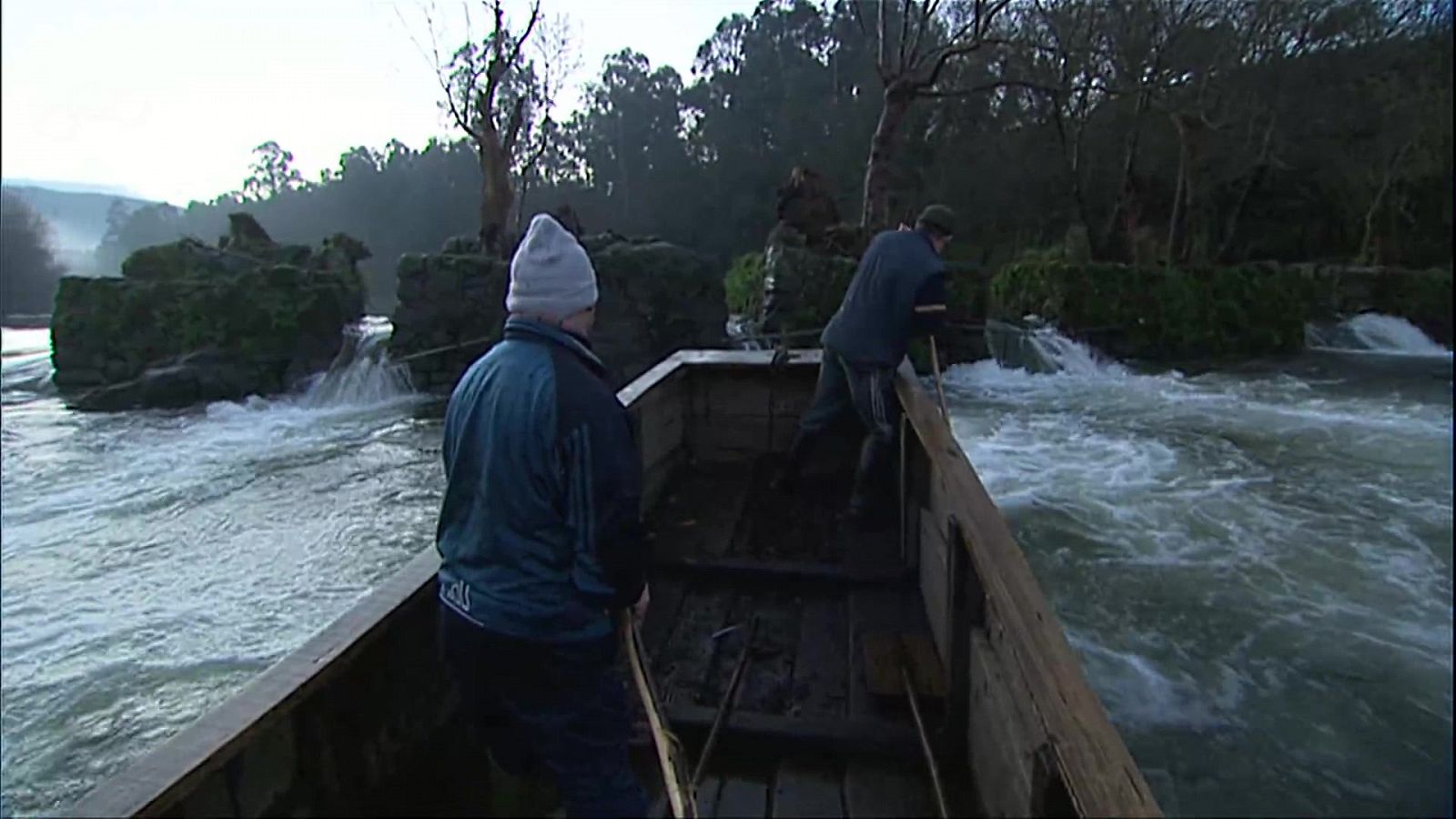 Jara y sedal - La pesca tradicional de la lamprea en Galicia - Documental en RTVE