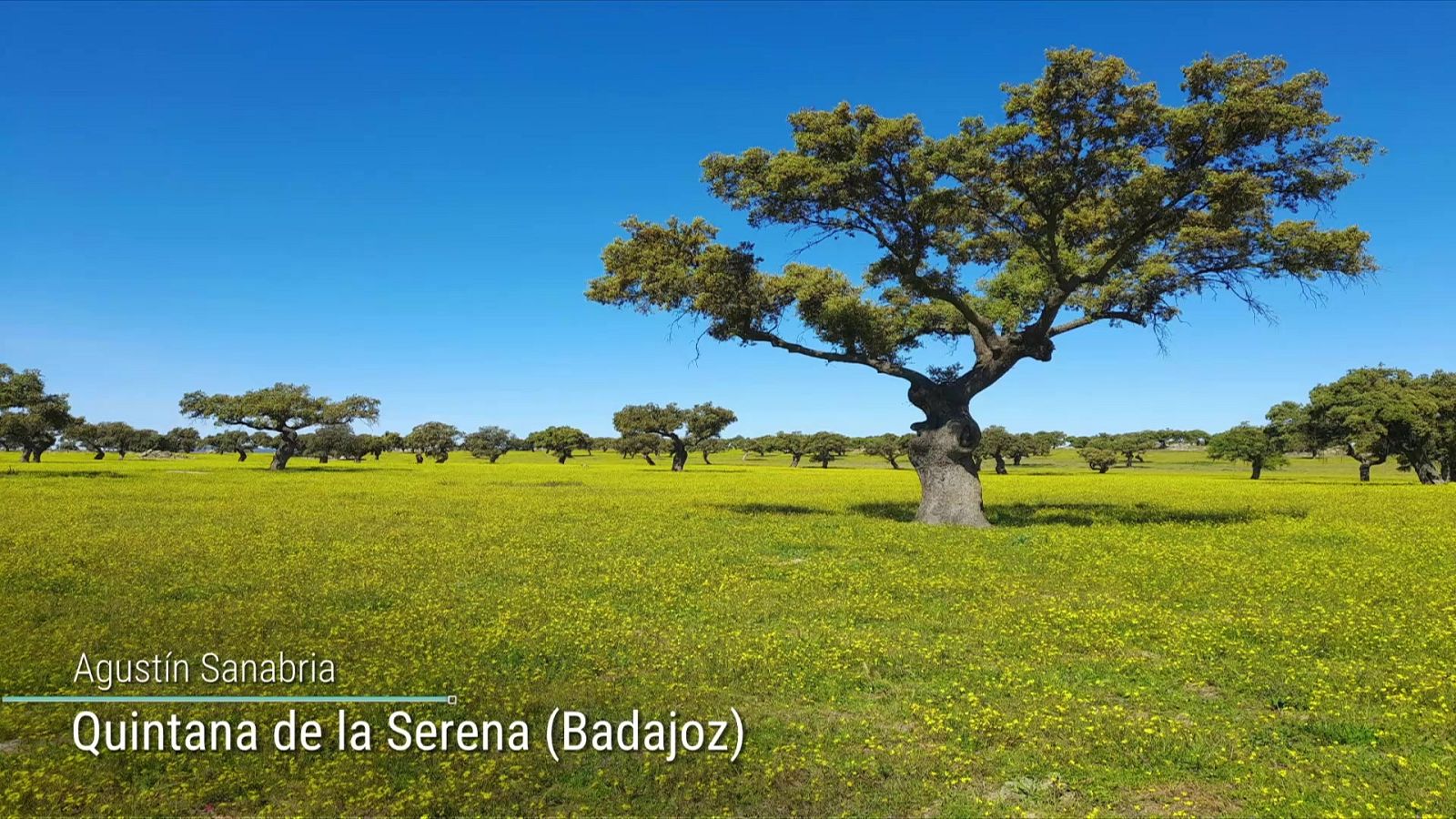 Nevadas significativas en el alto Ebro y área pirenaica. Rachas de viento del noroeste muy fuertes en el nordeste peninsular y Baleares - ver ahora