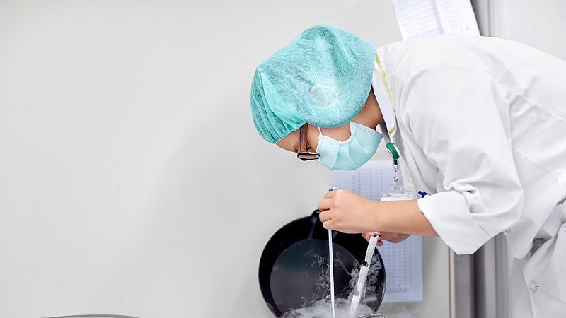 Congelar óvulos para retrasar la maternidad: una opción cada vez más frecuente | Ver