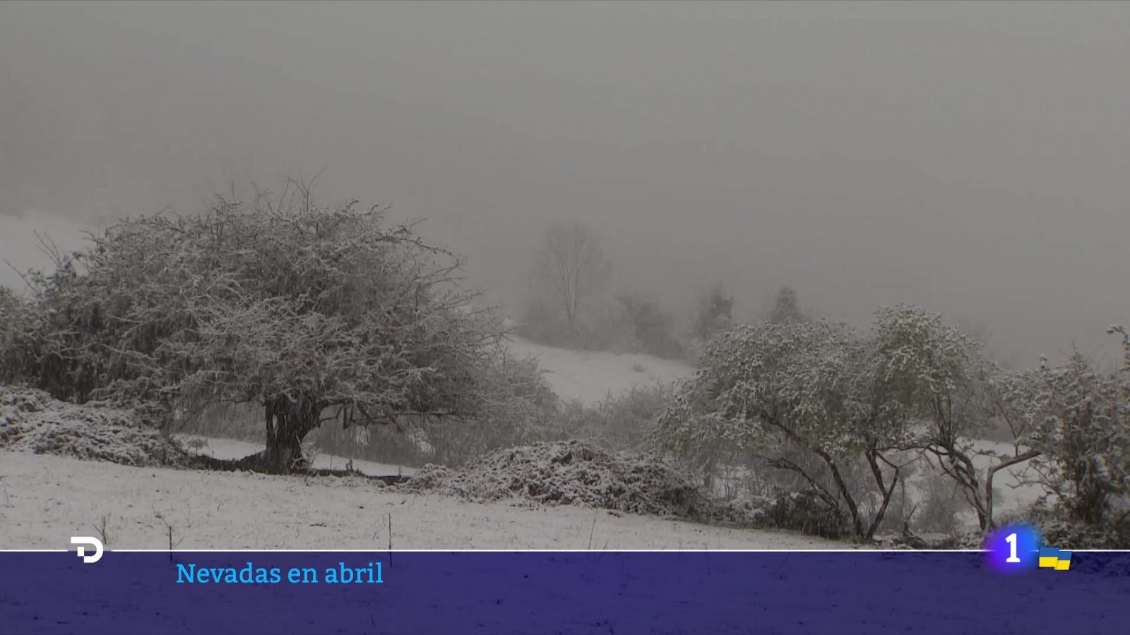 El ambiente y la estampa siguen siendo invernales - RTVE.es