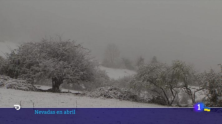 El ambiente y la estampa siguen siendo invernales